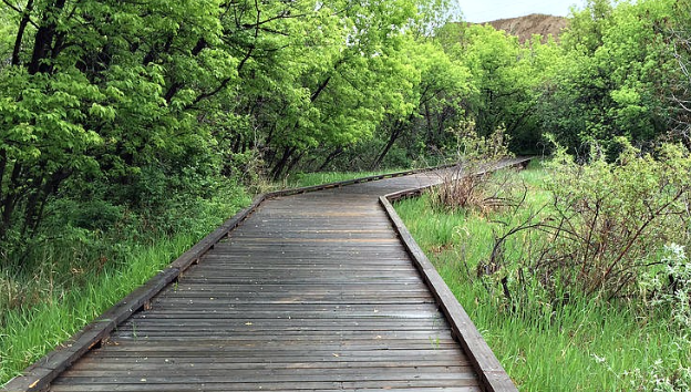 A Guide to Walking Trails in Medicine Hat