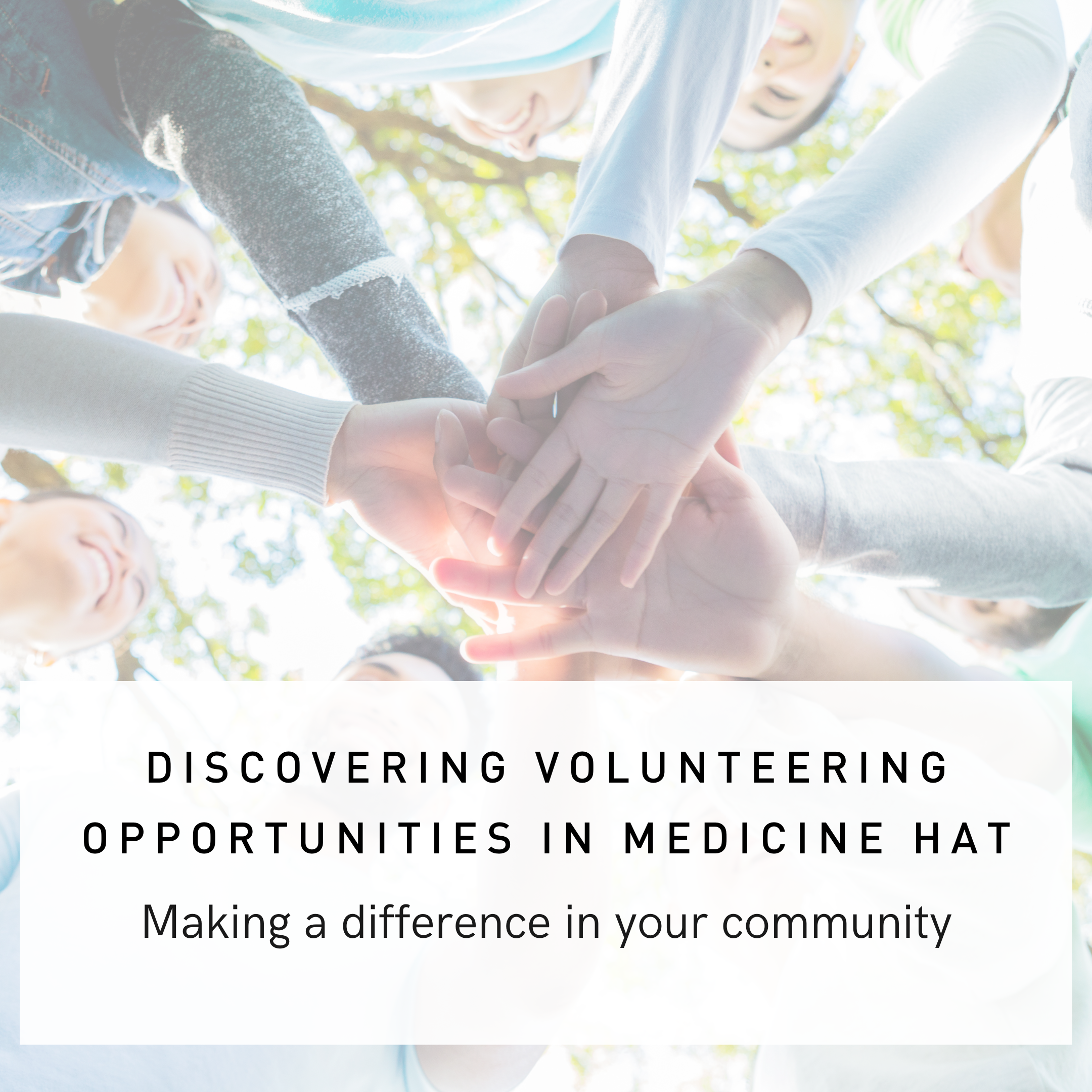 Discovering Volunteer Opportunities in Medicine Hat: Making a Difference in Your Community